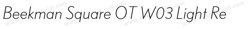 Beekman Square OT W03 Light Regular字体转换